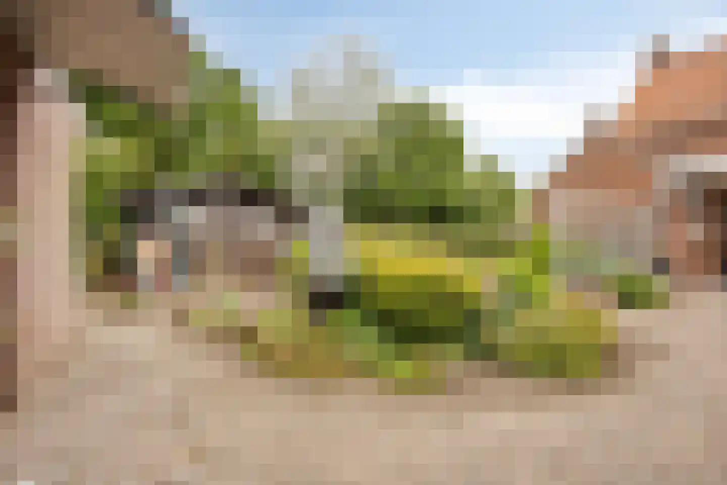 Pastoor Hordijkstraat 7 Rosmalen thumbnail 22