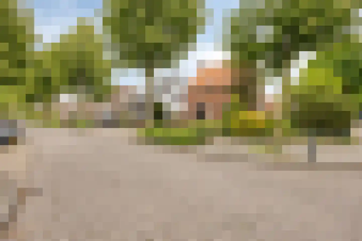 Pastoor Hordijkstraat 7 Rosmalen thumbnail 27