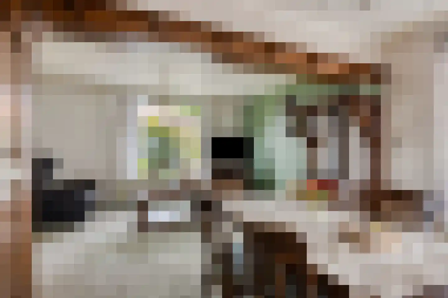 Pastoor Hordijkstraat 7 Rosmalen thumbnail 5