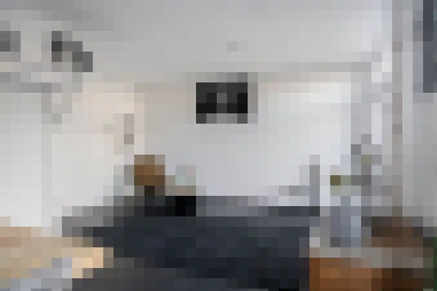 Pastoor Huissenstraat 4 Ammerzoden thumbnail 10