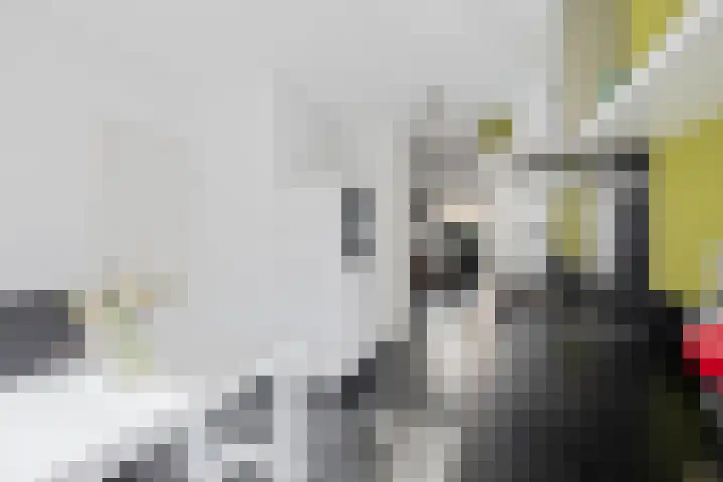 Pastoor Huissenstraat 4 Ammerzoden thumbnail 5