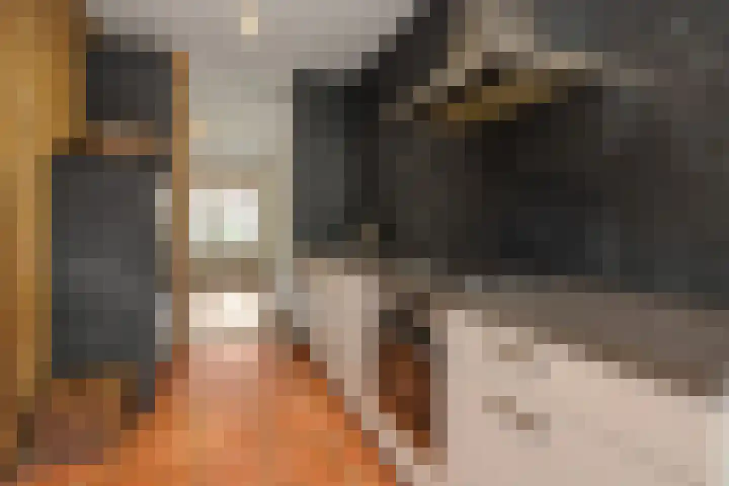 Pastoor Huissenstraat 8 Ammerzoden thumbnail 11