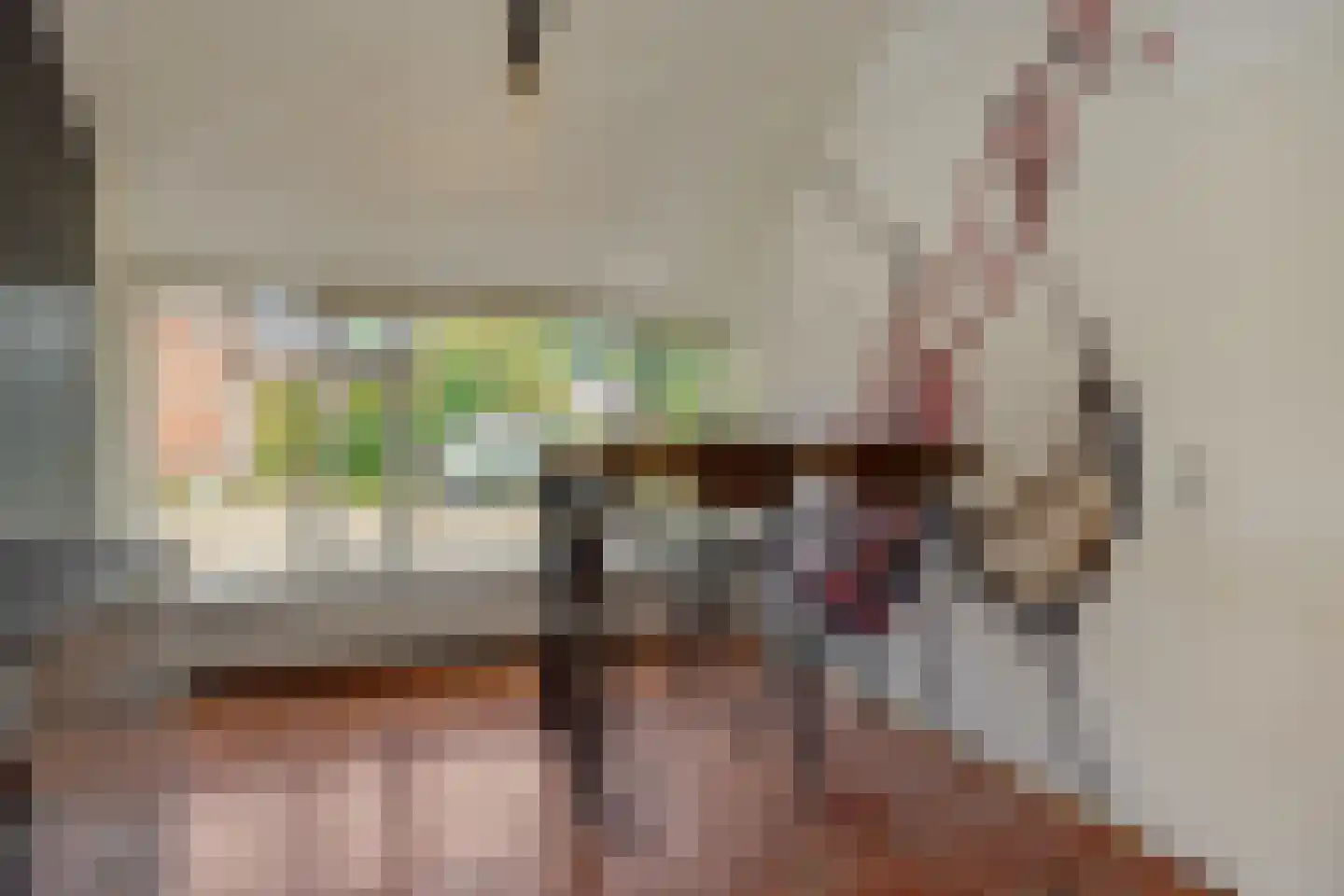 Pastoor Huissenstraat 8 Ammerzoden thumbnail 13