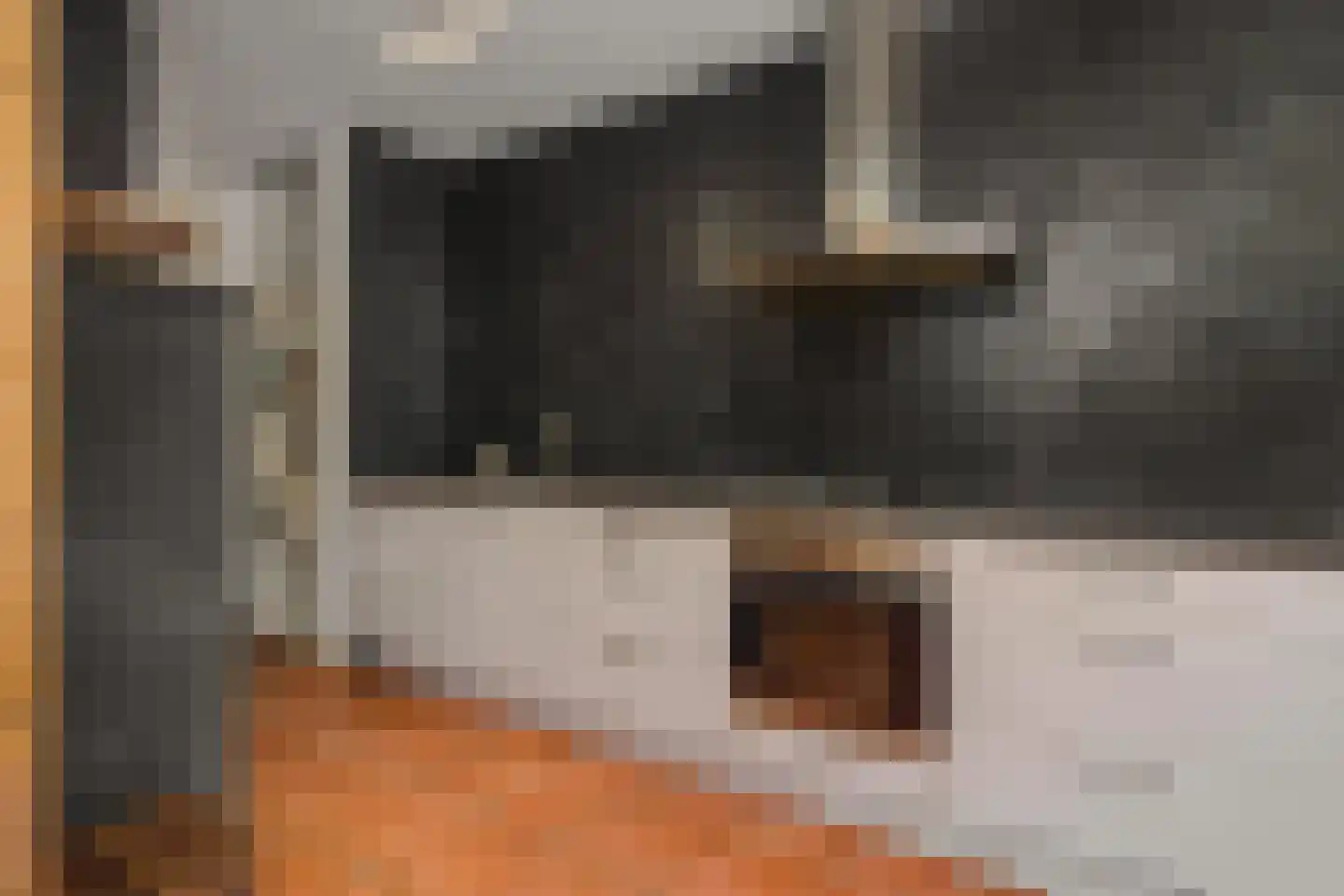 Pastoor Huissenstraat 8 Ammerzoden thumbnail 15