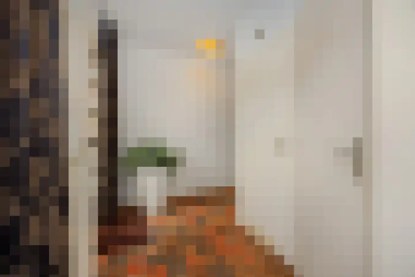 Pastoor Huissenstraat 8 Ammerzoden thumbnail 16