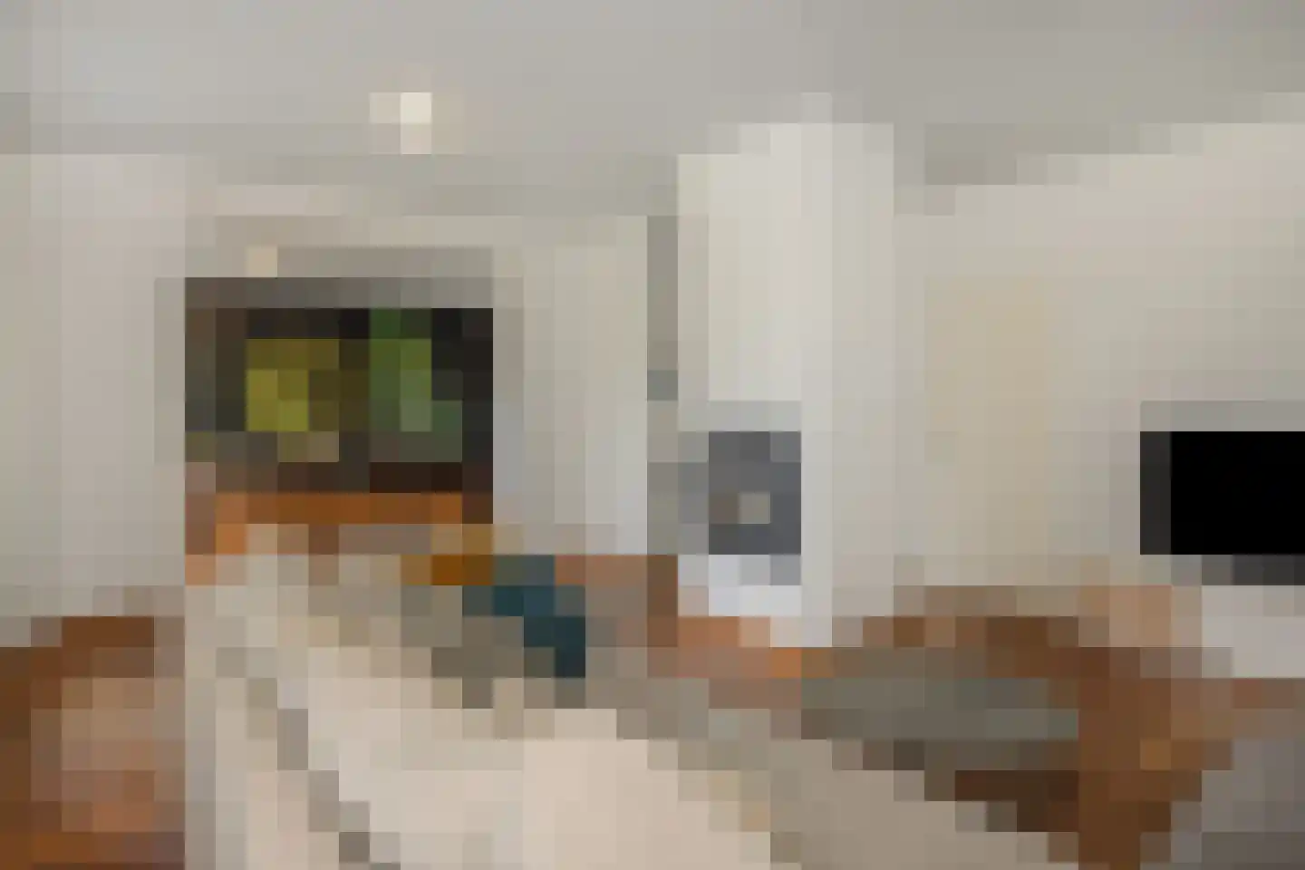 Pastoor Huissenstraat 8 Ammerzoden thumbnail 5