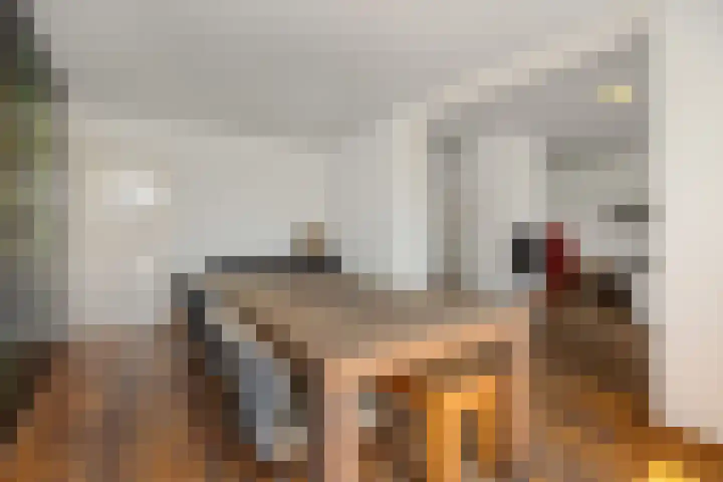 Pastoor Huissenstraat 8 Ammerzoden thumbnail 8