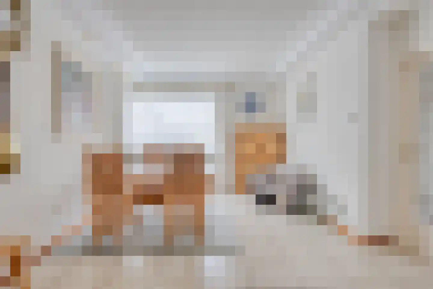 Pastoor Hutschemakersstraat 28 Beek thumbnail 12