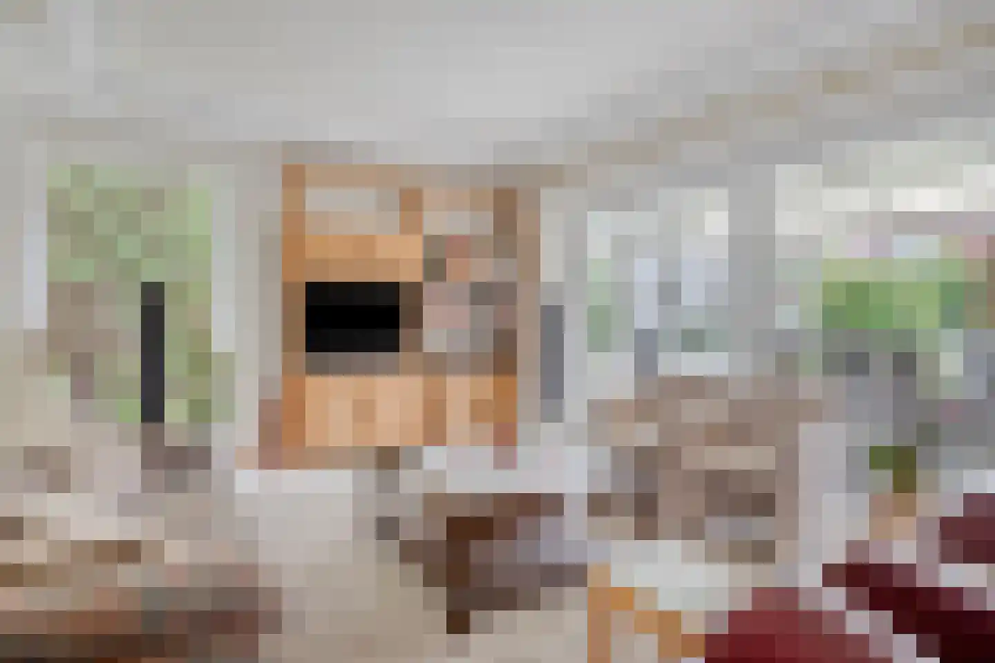 Pastoor Hutschemakersstraat 28 Beek thumbnail 15