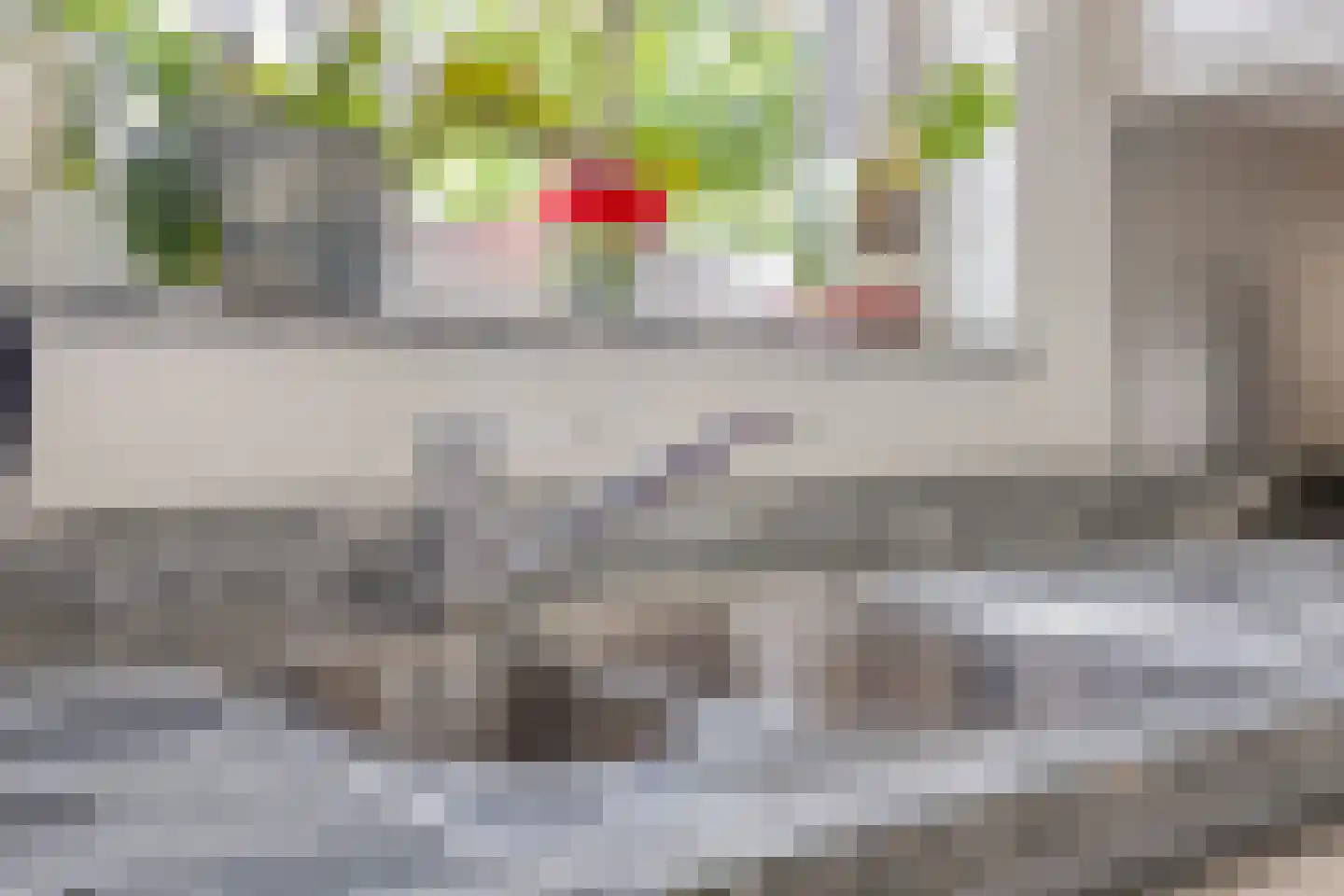 Pastoor Hutschemakersstraat 28 Beek thumbnail 19