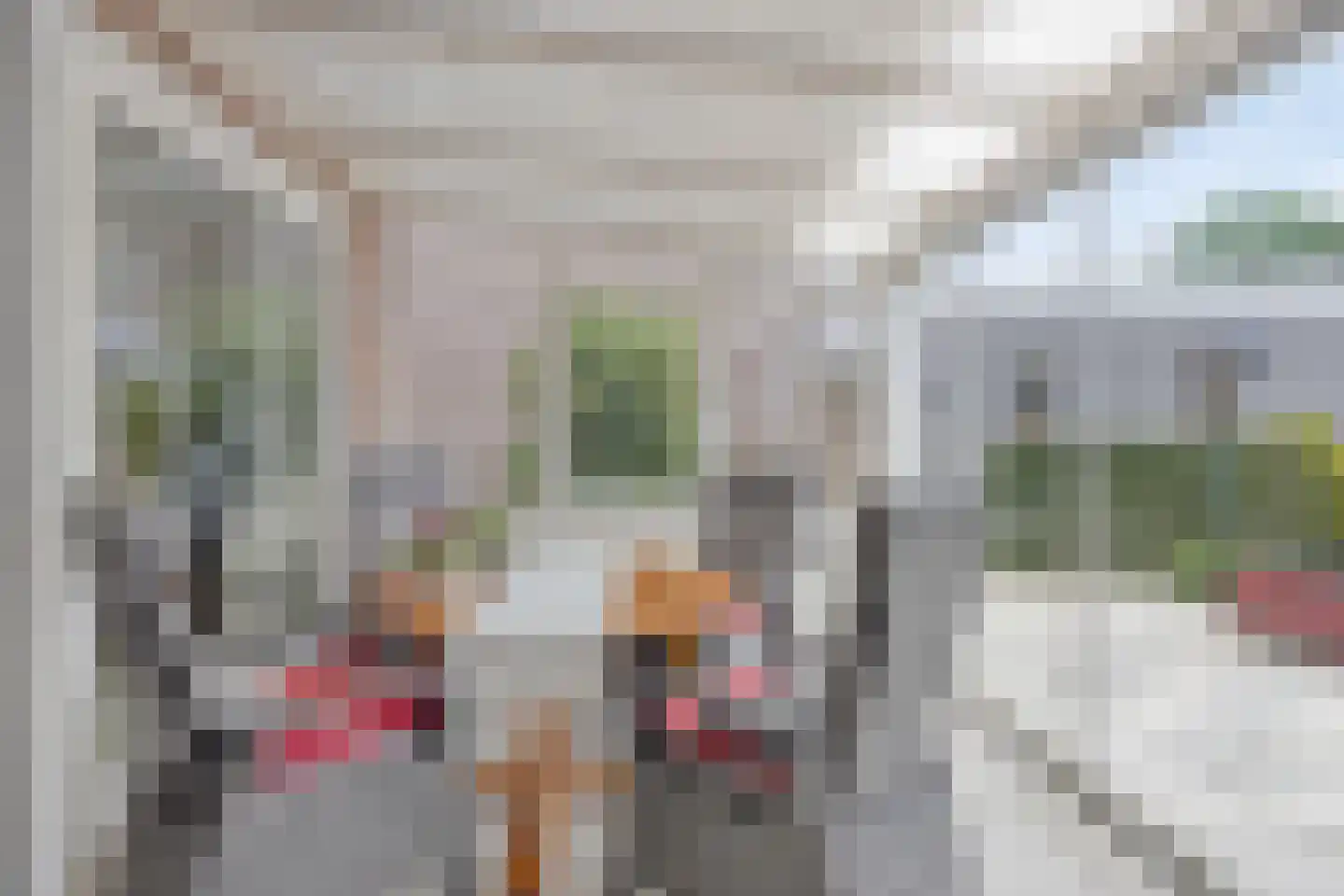 Pastoor Hutschemakersstraat 28 Beek thumbnail 20