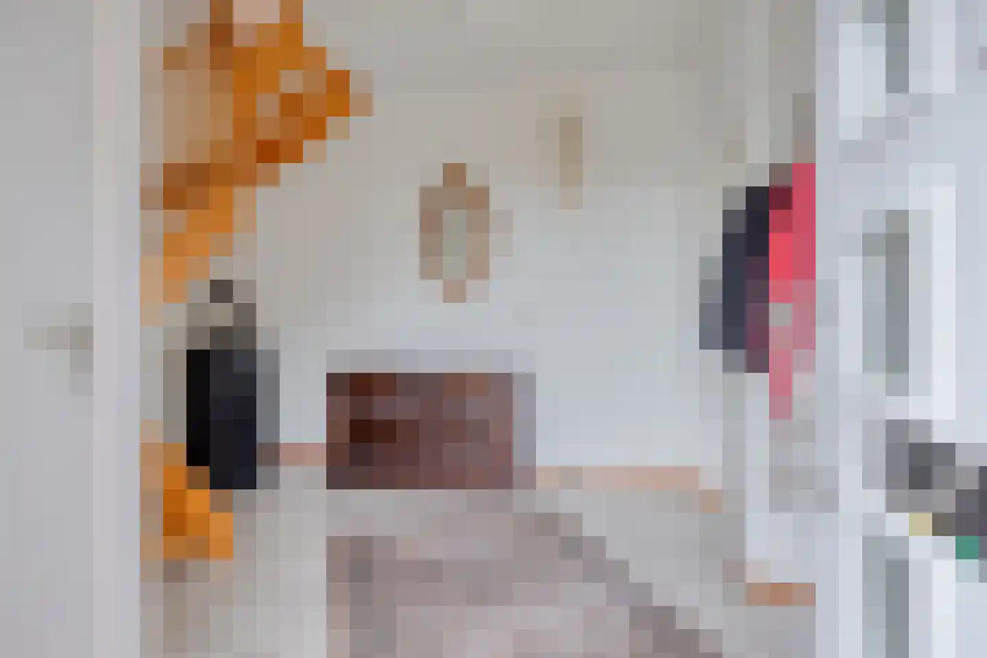 Pastoor Hutschemakersstraat 28 Beek thumbnail 7