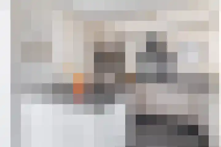 Pastoor Hutschemakersstraat 32 Beek thumbnail 12