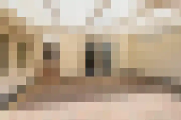 Pastoor Hutschemakersstraat 32 Beek thumbnail 33