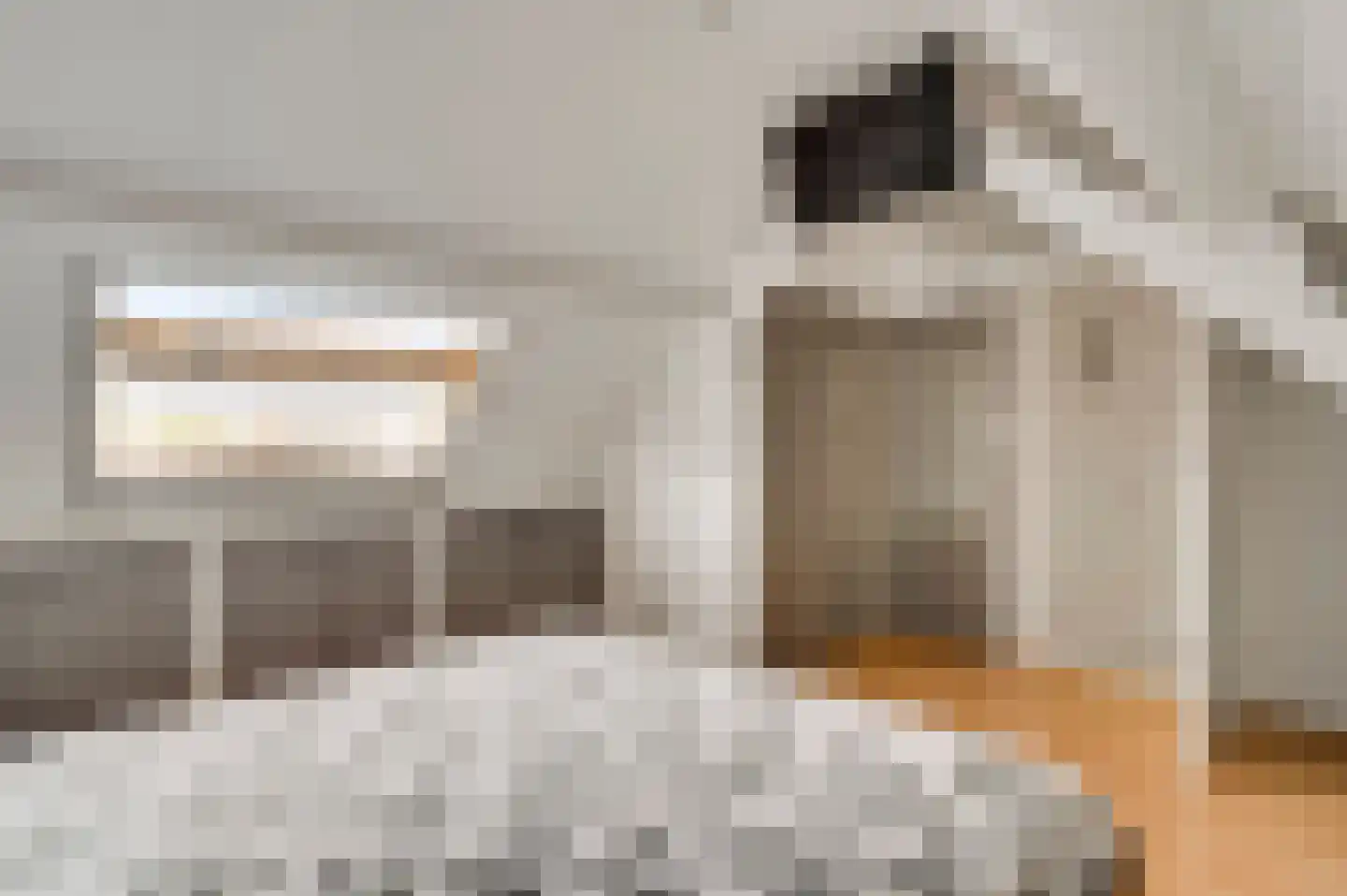 Pastoor Hutschemakersstraat 36 Beek thumbnail 31