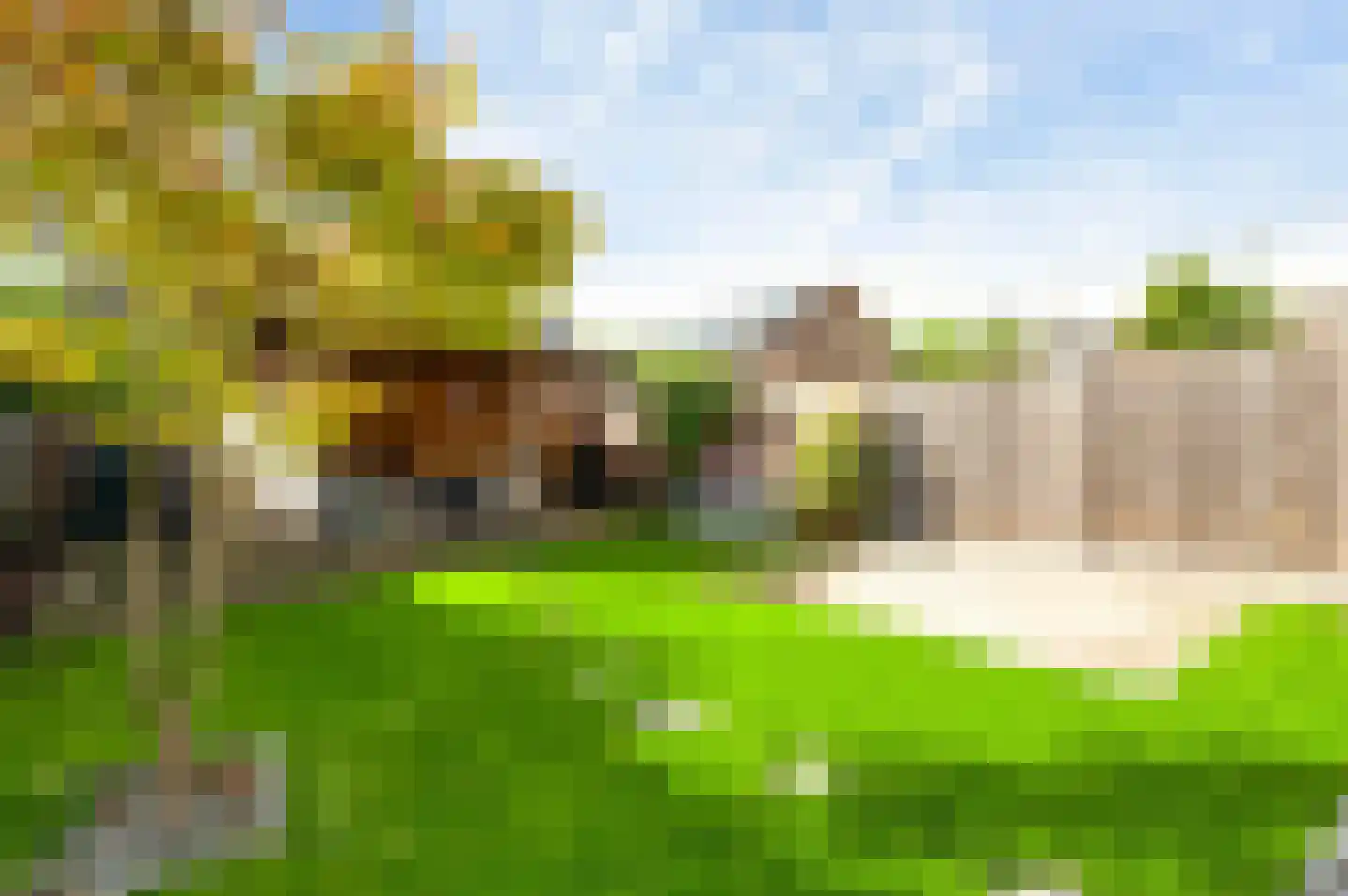 Pastoor Hutschemakersstraat 36 Beek thumbnail 34