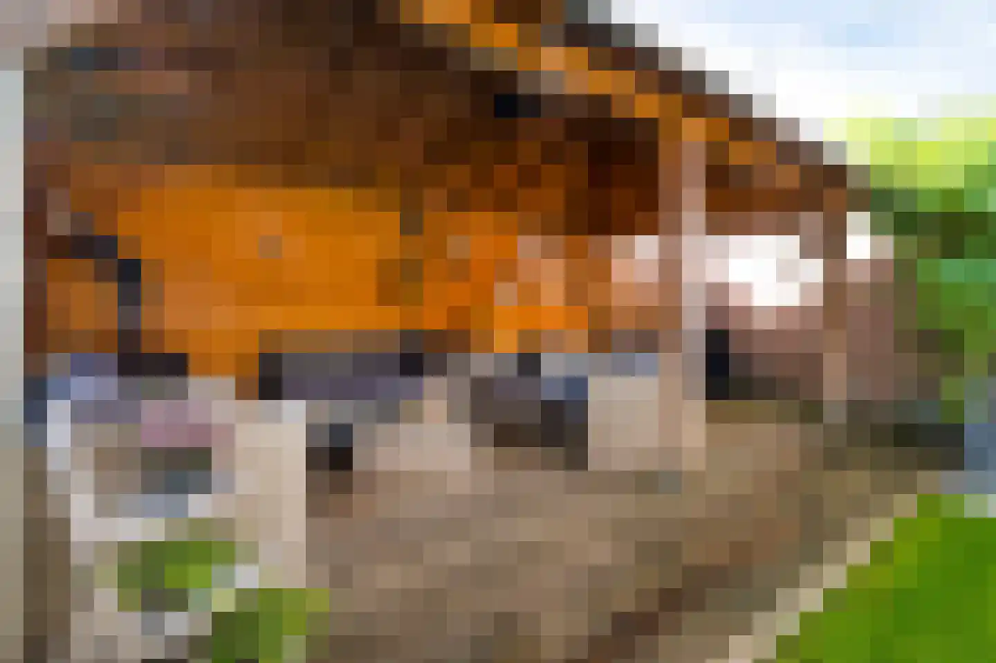 Pastoor Hutschemakersstraat 36 Beek thumbnail 36