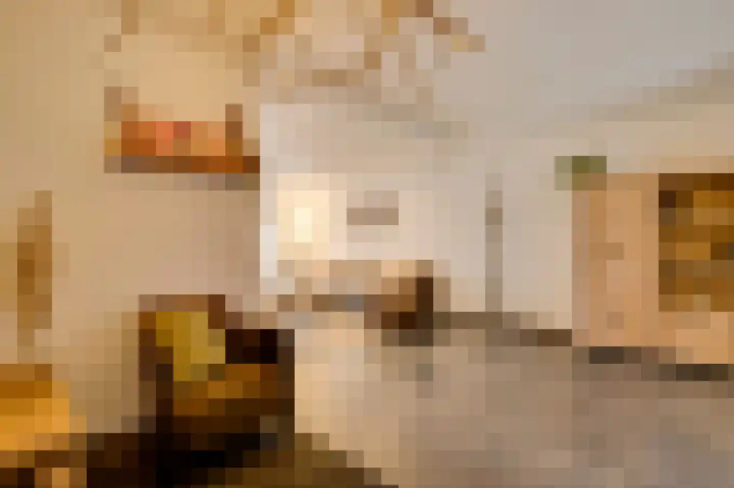 Pastoor Hutschemakersstraat 36 Beek thumbnail 4