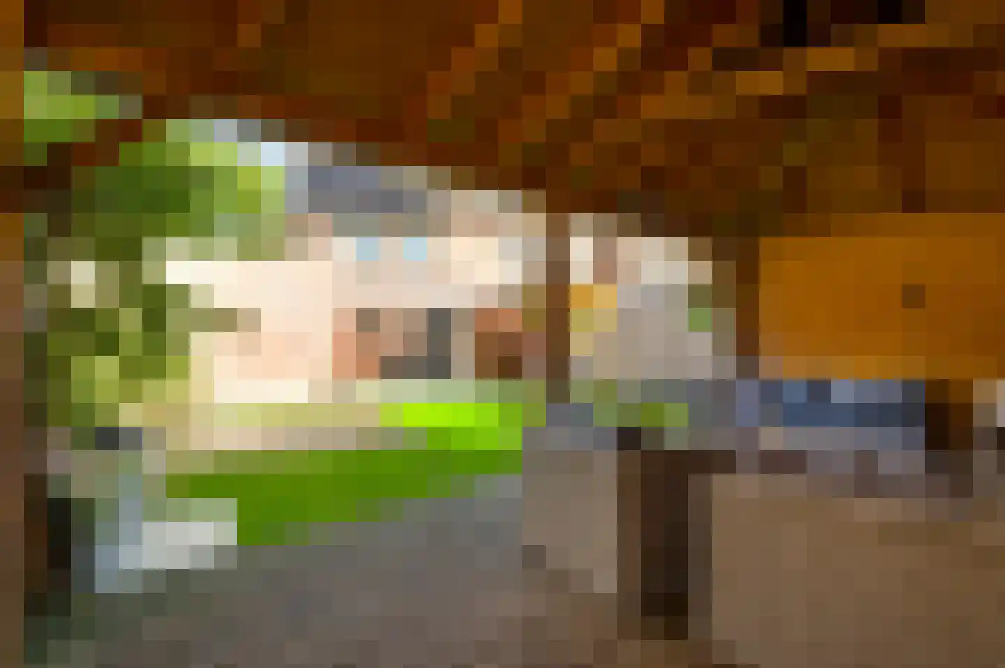Pastoor Hutschemakersstraat 36 Beek thumbnail 6