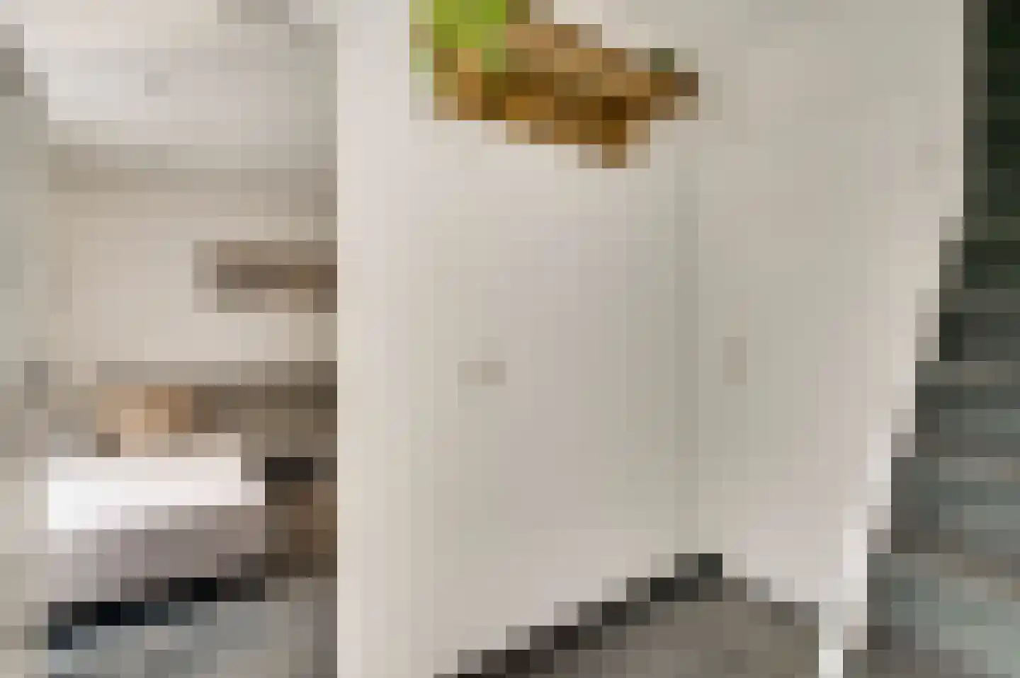 Pastoor Hutschemakersstraat 36 Beek thumbnail 8