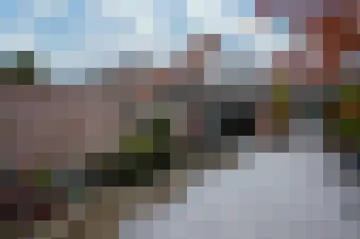Pastoor Hutschemakersstraat 5 Beek thumbnail 31