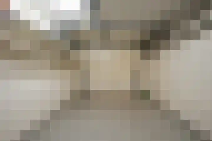 Pastoor Hutschemakersstraat 5 Beek thumbnail 33