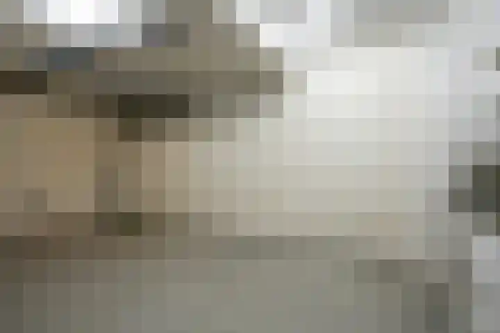 Pastoor Hutschemakersstraat 5 Beek thumbnail 34
