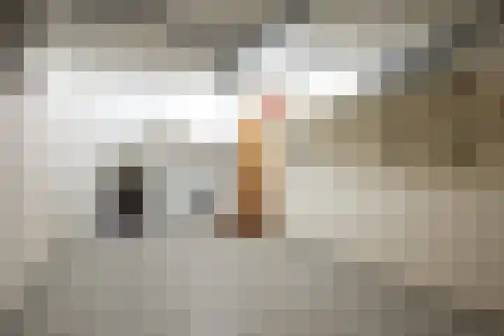 Pastoor Hutschemakersstraat 5 Beek thumbnail 35