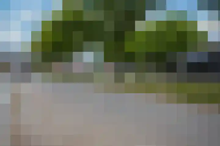 Pastoor Hutschemakersstraat 5 Beek thumbnail 37