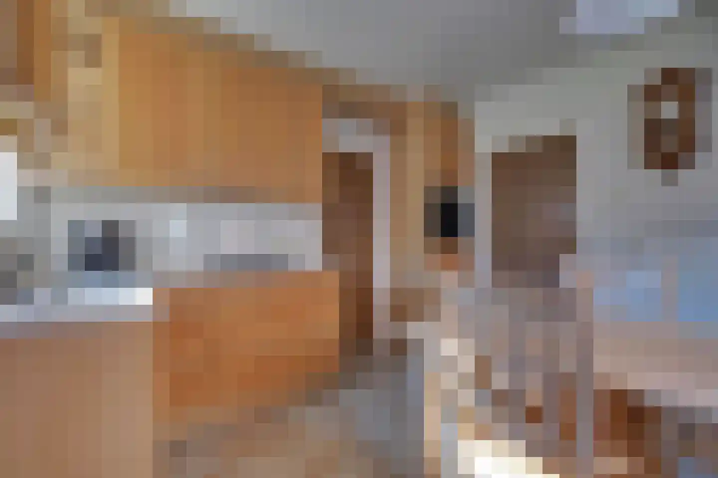 Pastoor Indenstraat 4 Didam thumbnail 11