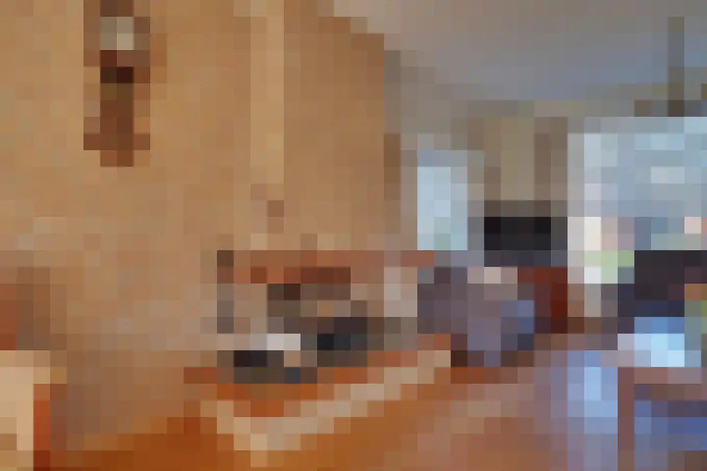 Pastoor Indenstraat 4 Didam thumbnail 14