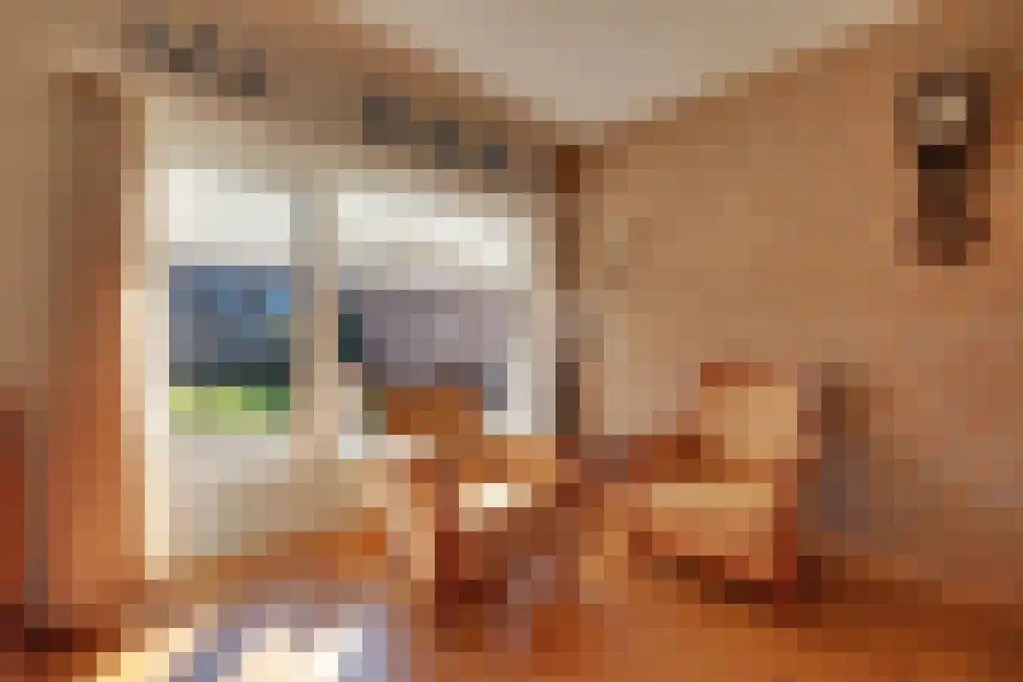 Pastoor Indenstraat 4 Didam thumbnail 15
