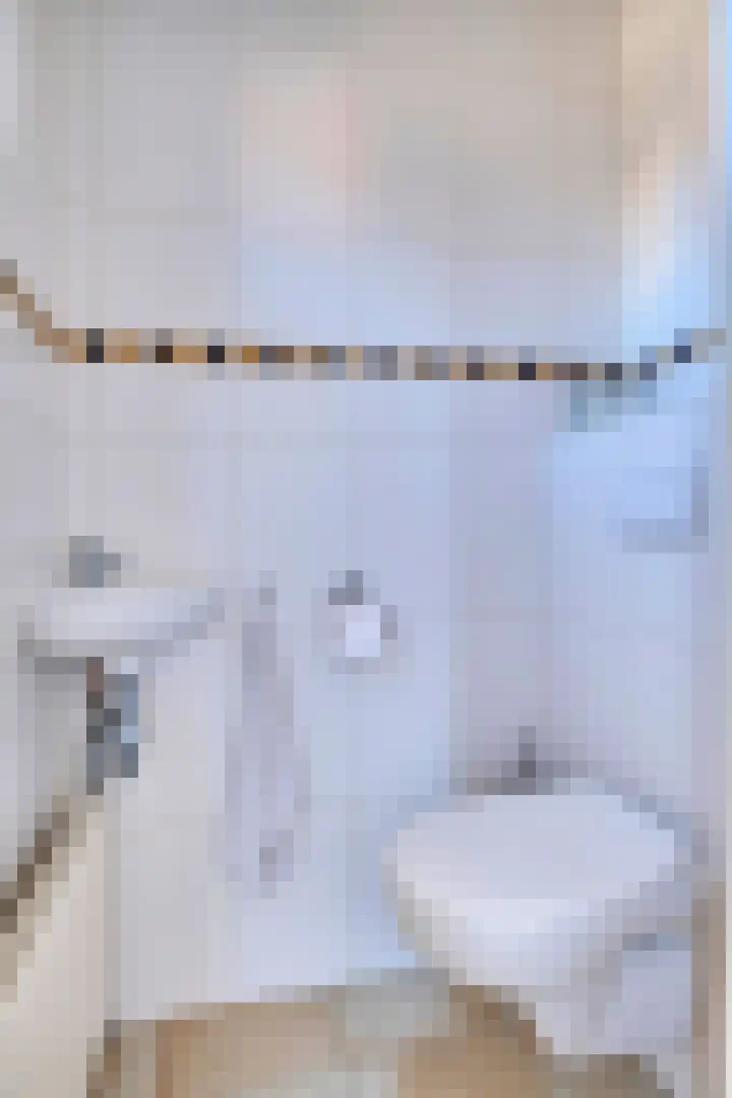 Pastoor Indenstraat 4 Didam thumbnail 9
