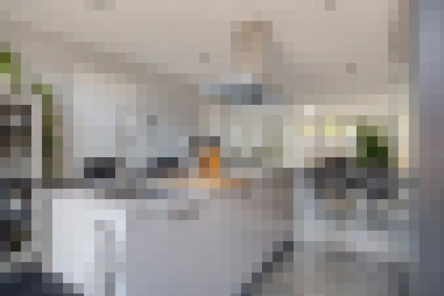Pastoor J.A.M. van den Muijsenbergstraat 15 Hoofdplaat thumbnail 11