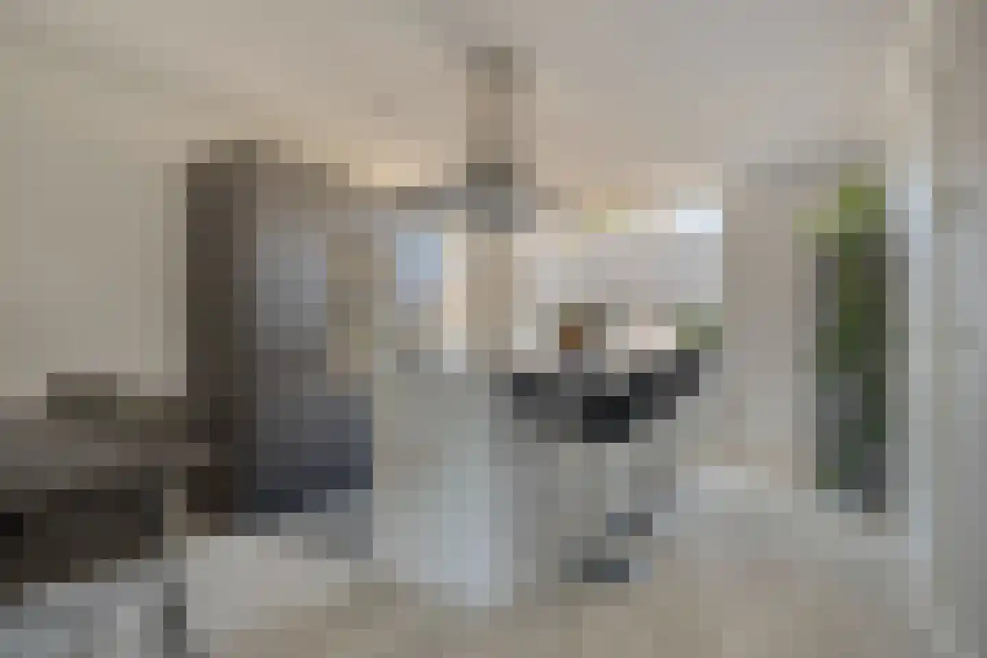 Pastoor J.A.M. van den Muijsenbergstraat 15 Hoofdplaat thumbnail 9