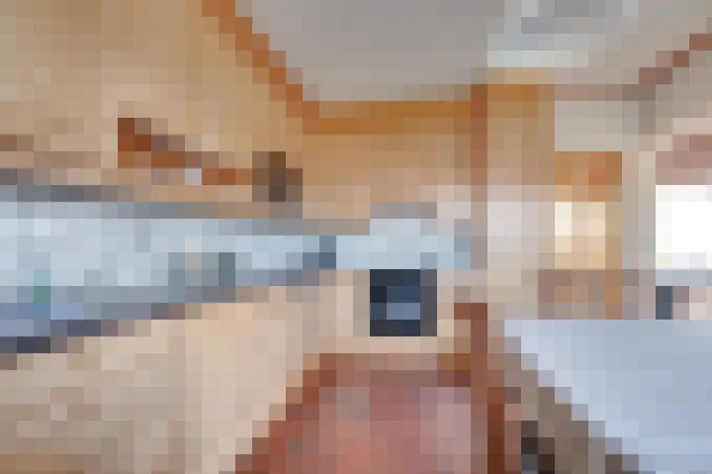 Pastoor J.A.M. van den Muijsenbergstraat 2 Hoofdplaat thumbnail 8