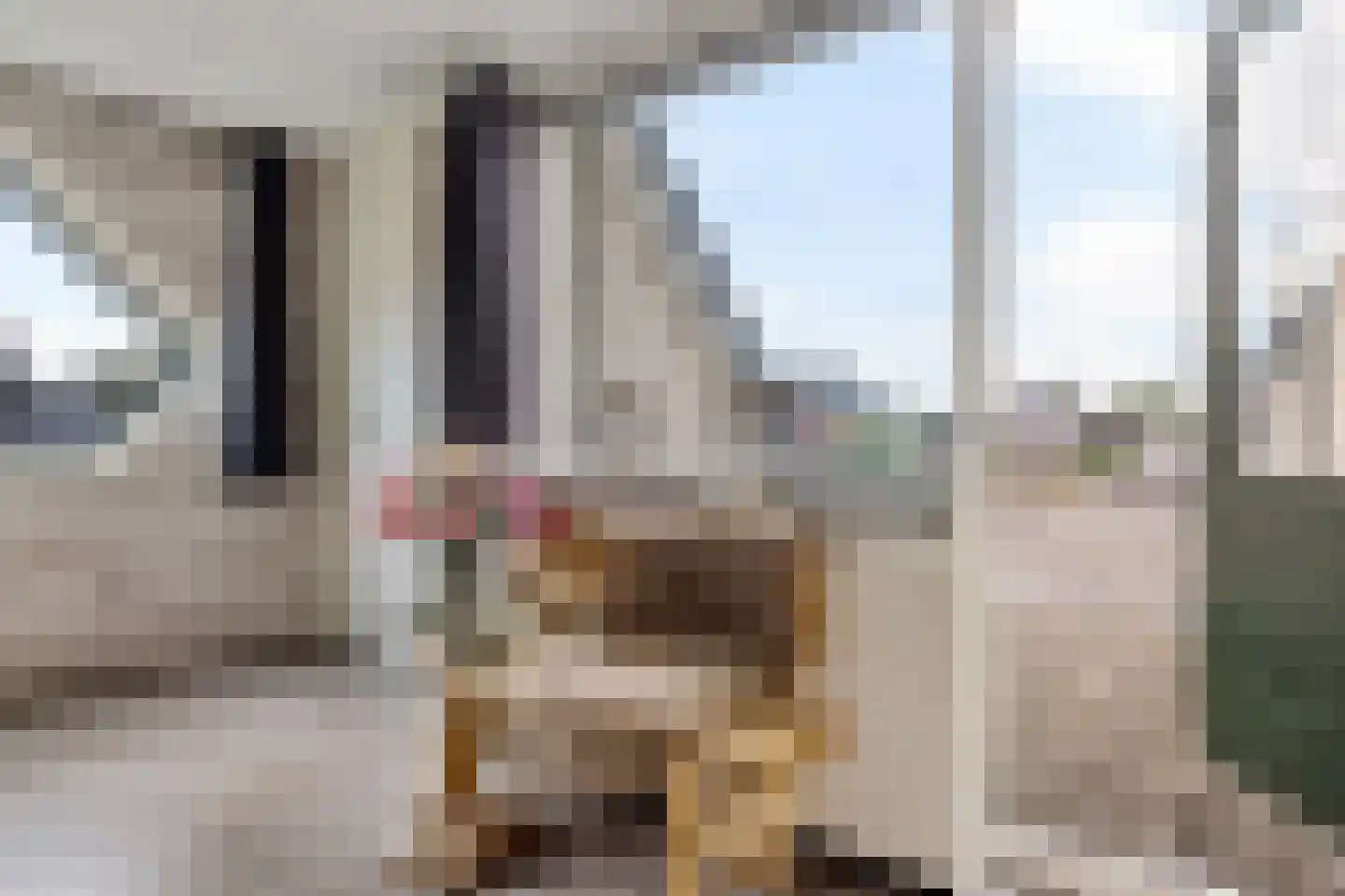 Pastoor J H Wesselstraat 1 Coevorden thumbnail 32