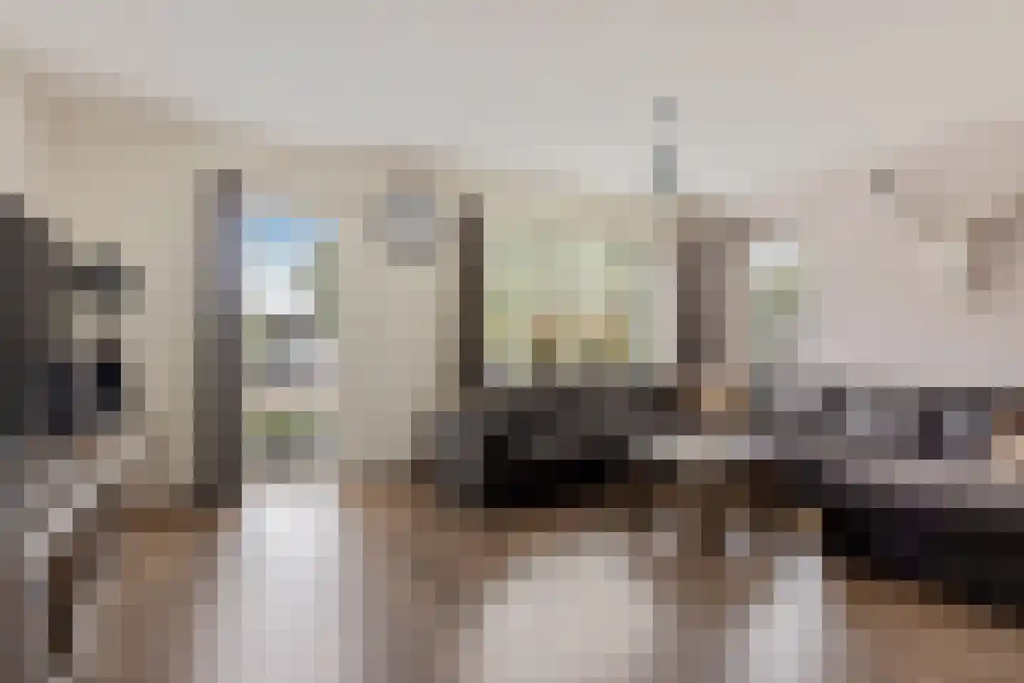 Pastoor J H Wesselstraat 1 Coevorden thumbnail 9