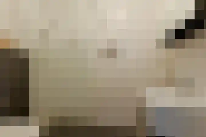 Pastoor J. van Dijklaan 5 De Kwakel thumbnail 10