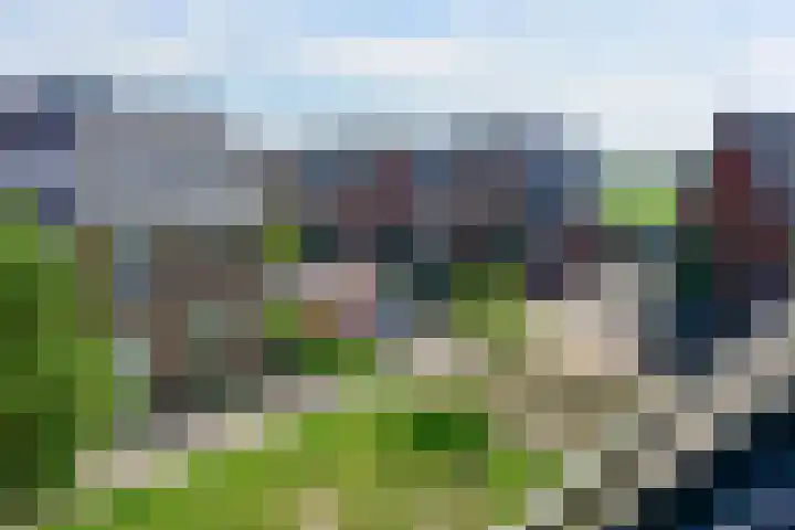 Pastoor J. van Dijklaan 5 De Kwakel thumbnail 22