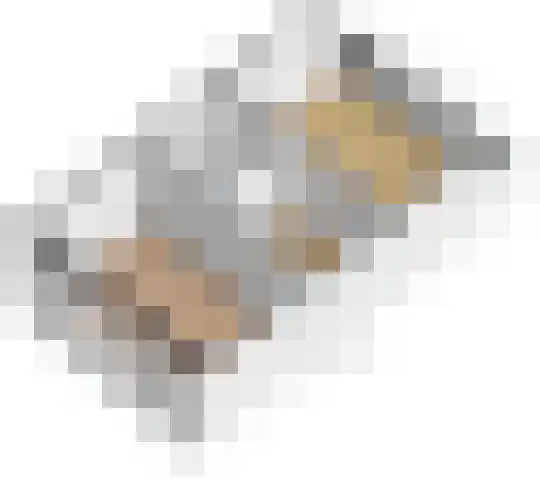 Pastoor J. van Dijklaan 5 De Kwakel thumbnail 26