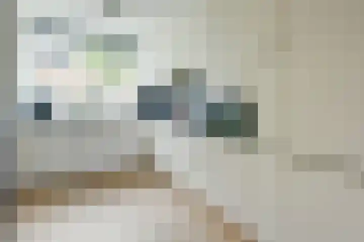 Pastoor J. van Dijklaan 5 De Kwakel thumbnail 4