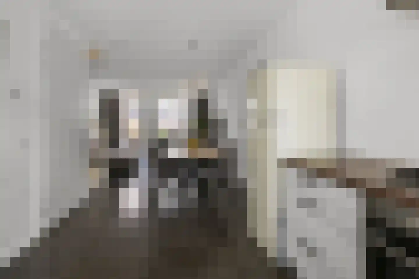 Pastoor J. van Dijklaan 69 De Kwakel thumbnail 10