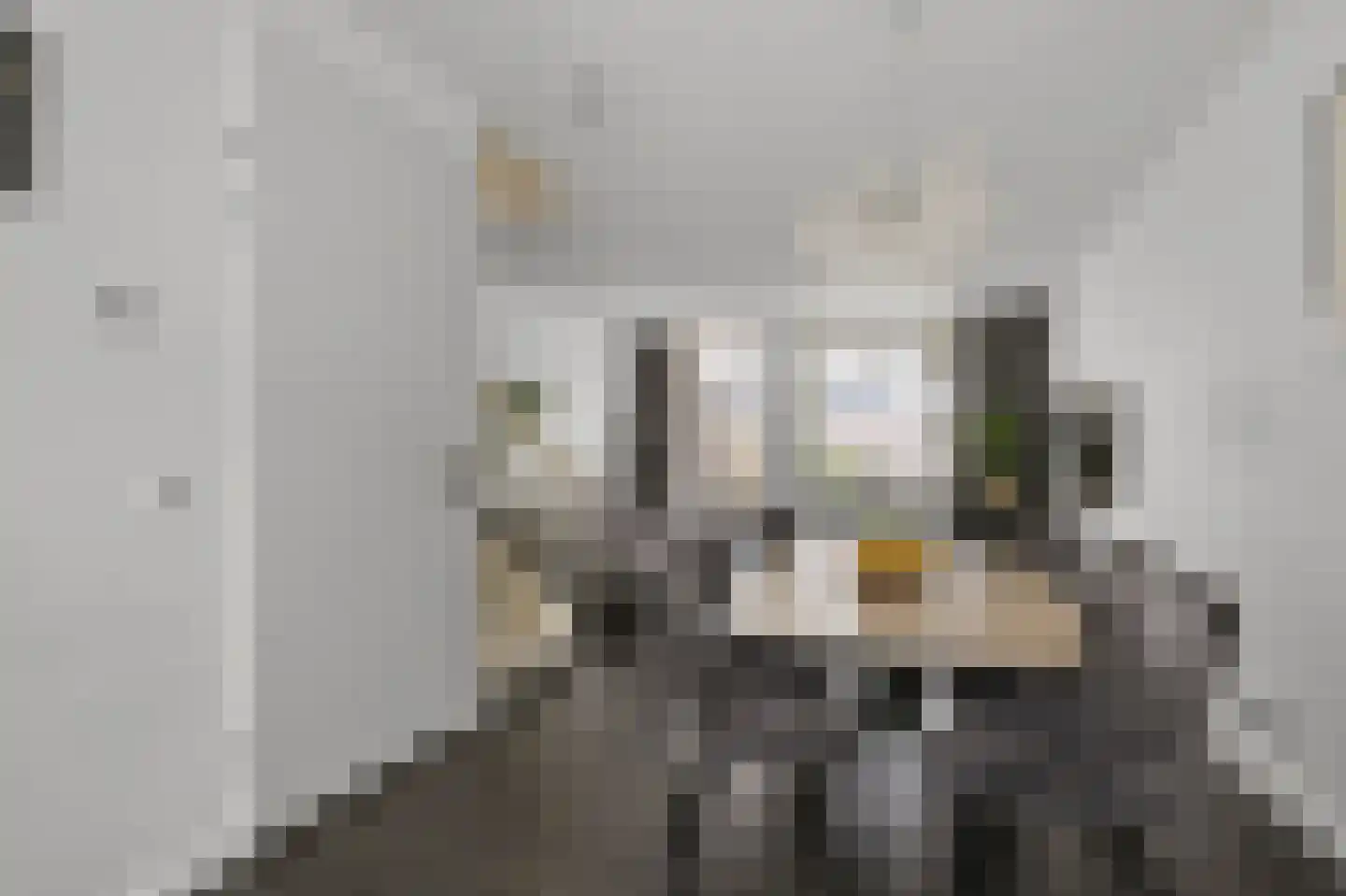 Pastoor J. van Dijklaan 69 De Kwakel thumbnail 11