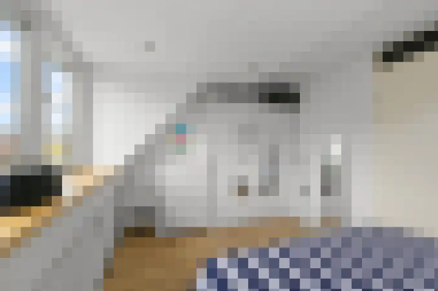 Pastoor J. van Dijklaan 69 De Kwakel thumbnail 20