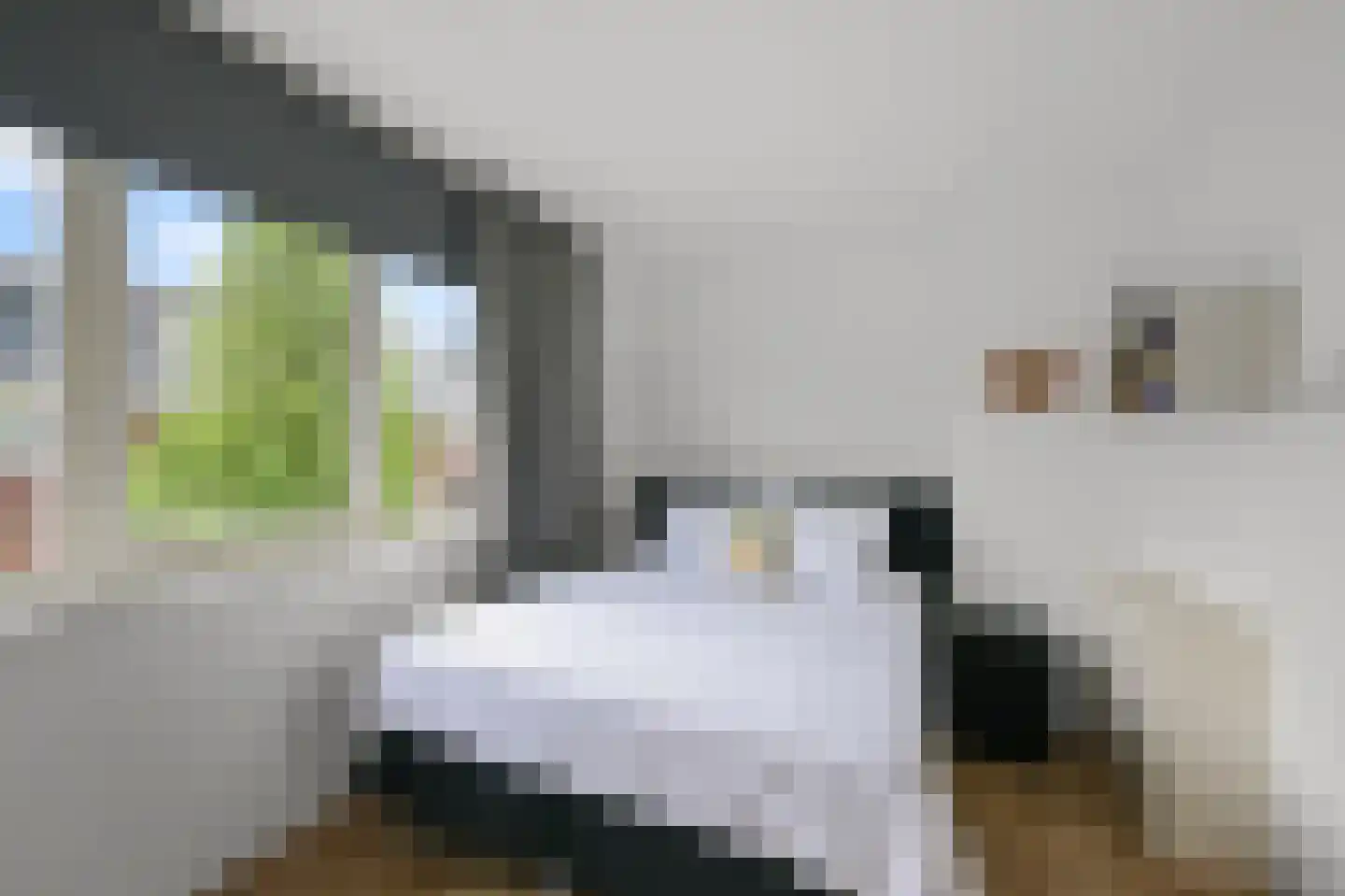 Pastoor J. van Dijklaan 69 De Kwakel thumbnail 22