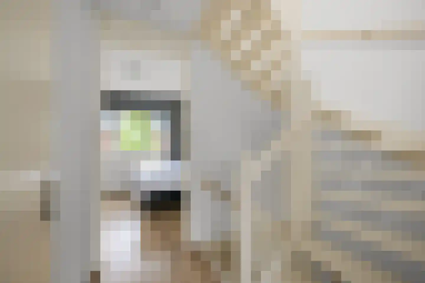 Pastoor J. van Dijklaan 69 De Kwakel thumbnail 27