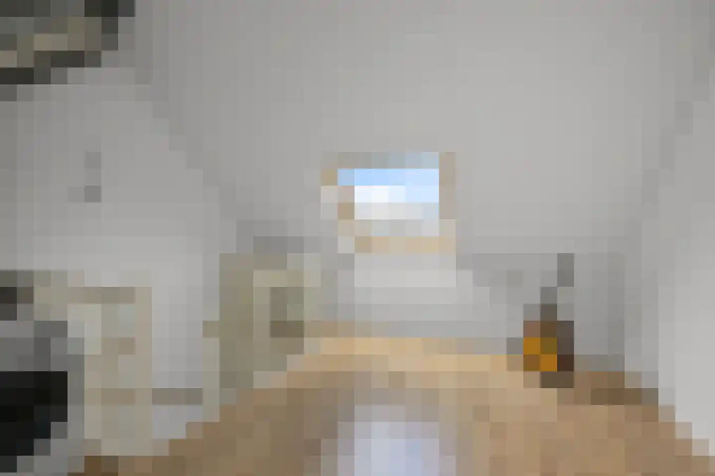 Pastoor J. van Dijklaan 69 De Kwakel thumbnail 29