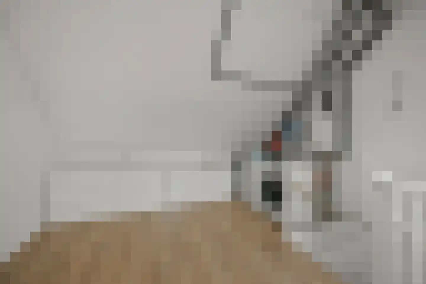 Pastoor J. van Dijklaan 69 De Kwakel thumbnail 30