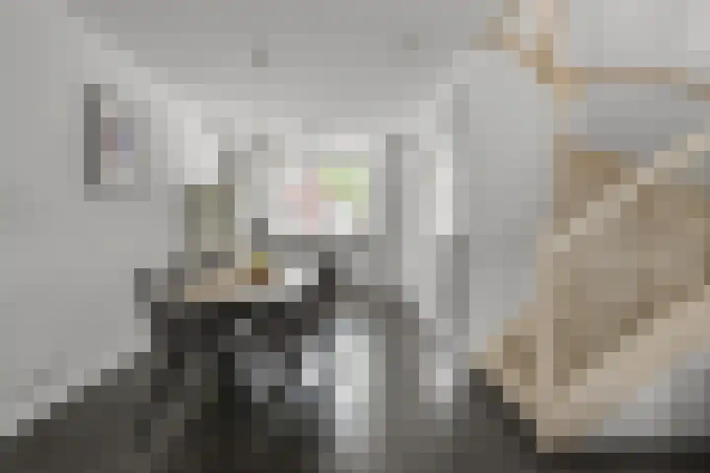Pastoor J. van Dijklaan 69 De Kwakel thumbnail 5